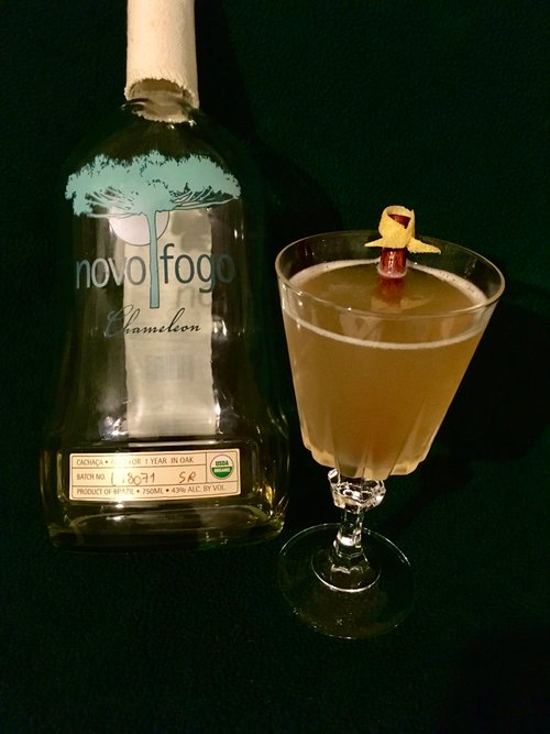 Drink Samba Chameleon created by Alessa Geboff