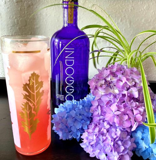 Drink Dogg Days Of Summer created by Alex Taylor