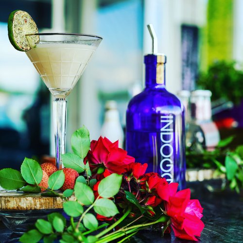 Drink Lychee Dogg created by Erica Sloop