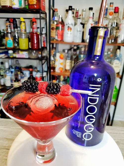 Drink Raspberry High-Biscus created by Diesha Banner