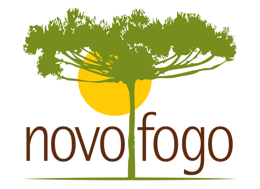 Novo Fogo company logo!