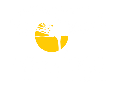 Novo Fogo's Company Logo!