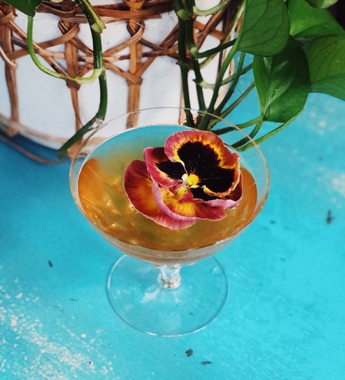 Drink Zapatera created by Katy Dimick