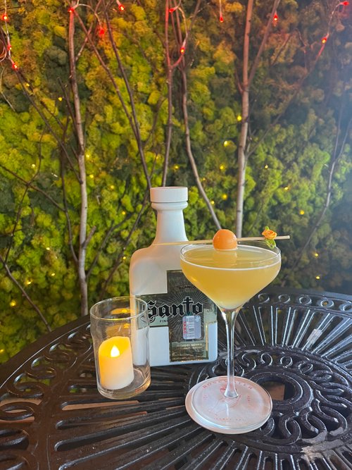 Drink Summer’s Paradox  created by Jennifer  Pilling 