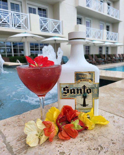 Drink The Oasis  created by Linda Faber