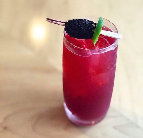 Drink Everything Nice created by Asia Shabazz