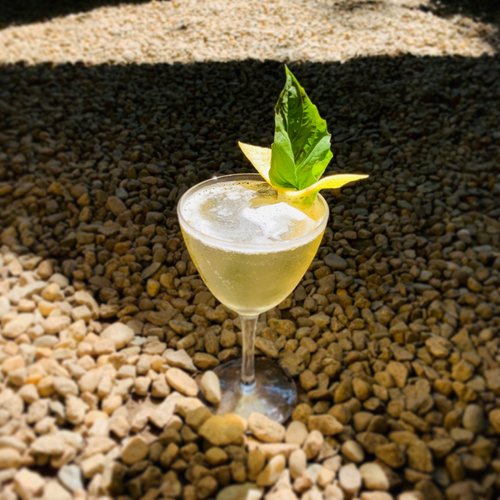 Drink Flower In The Wind created by Savannah Scott