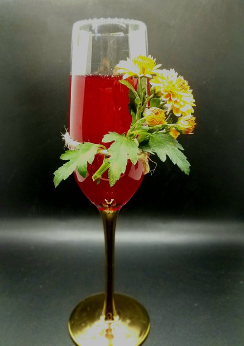 Drink Studies in Colour created by Lauren Pellecchia