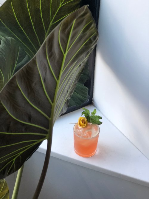 Drink The Shrubbery created by Jessica Lucatorto