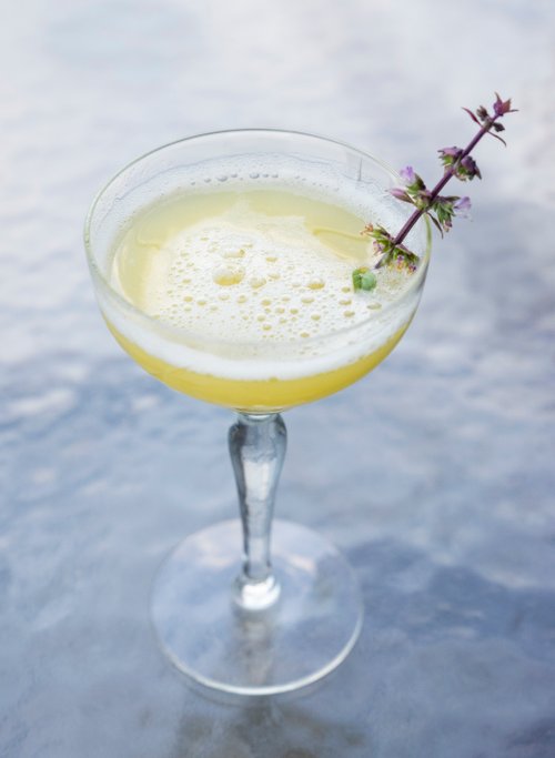 Drink Yellow Vision created by Jena Ellenwood