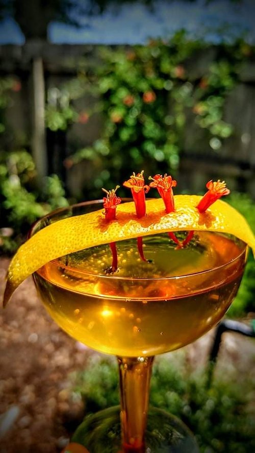 Drink Honeysuckle days and firefly nights created by Kelley Fitzsimonds