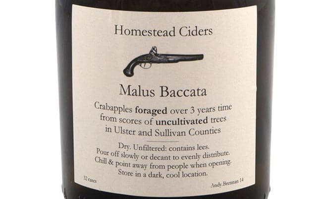 Aaron Burr Malus Baccata Cider