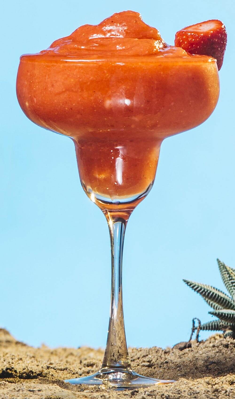 Agave Loco Strawberry LocoRita
