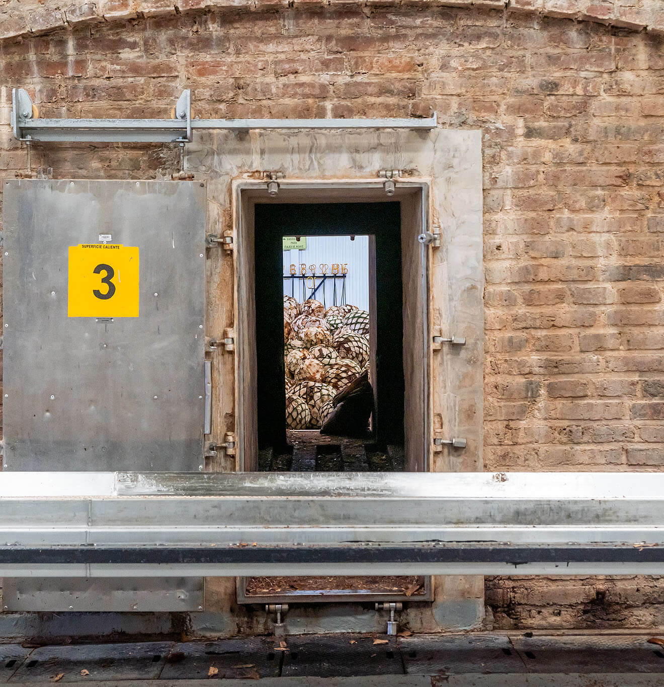 Agave Production for Patrón Tequila