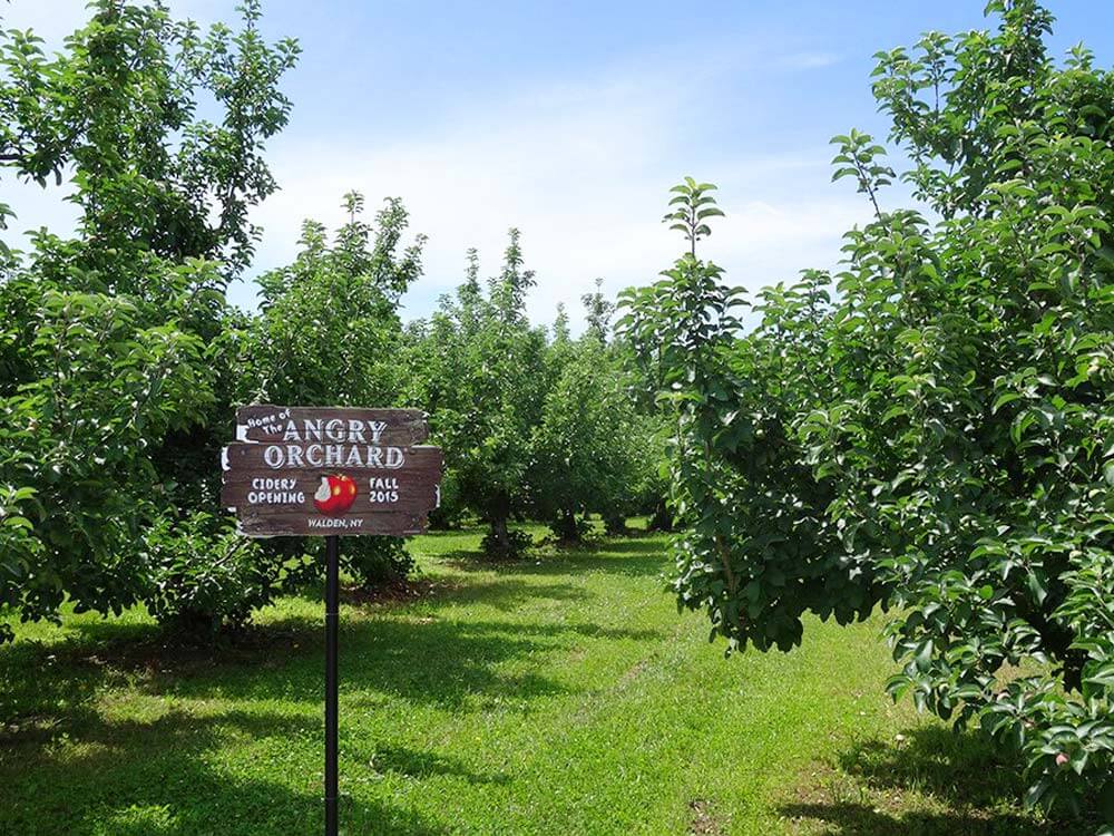 New Walden, N.Y Location for Angry Orchard