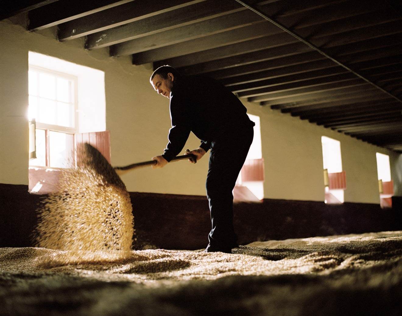 Balvenie Malt Turning