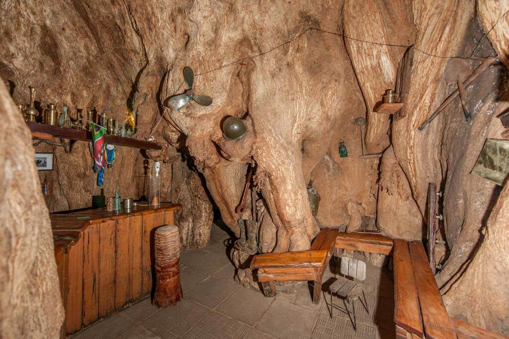 Baobob Tree Bar Interior