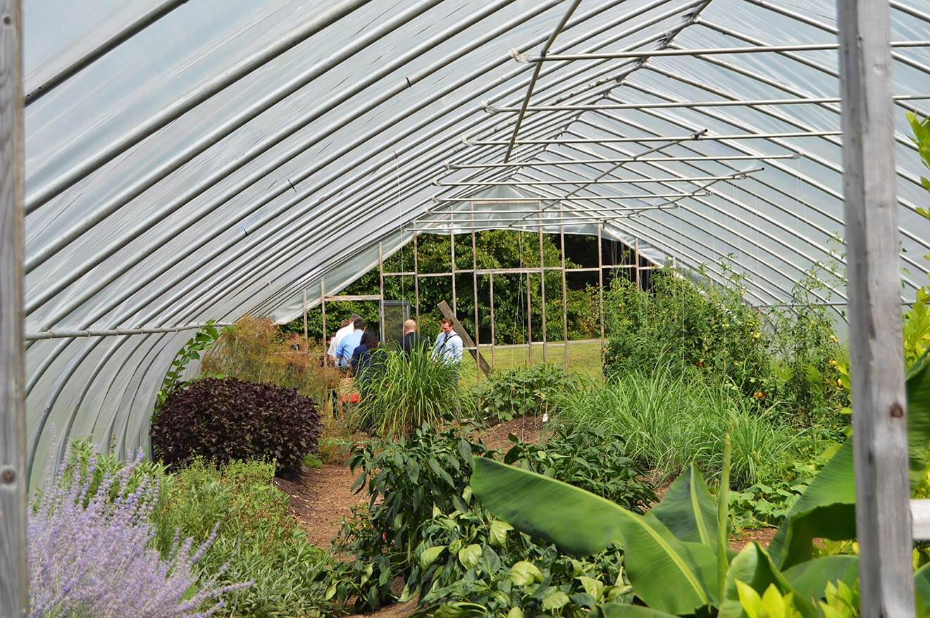 Berkshire Mountain greenhouse