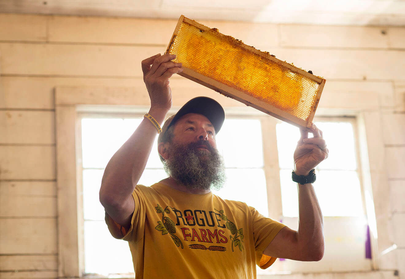 Brewmaster John Maier Harvesting Honey