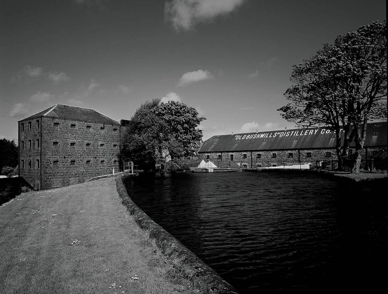 Bushmills Distillery Lake View, what's chilling right now