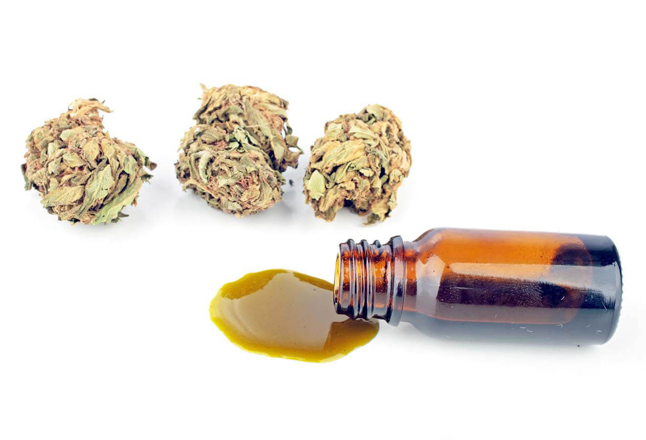 Cannabis Buds and Oil