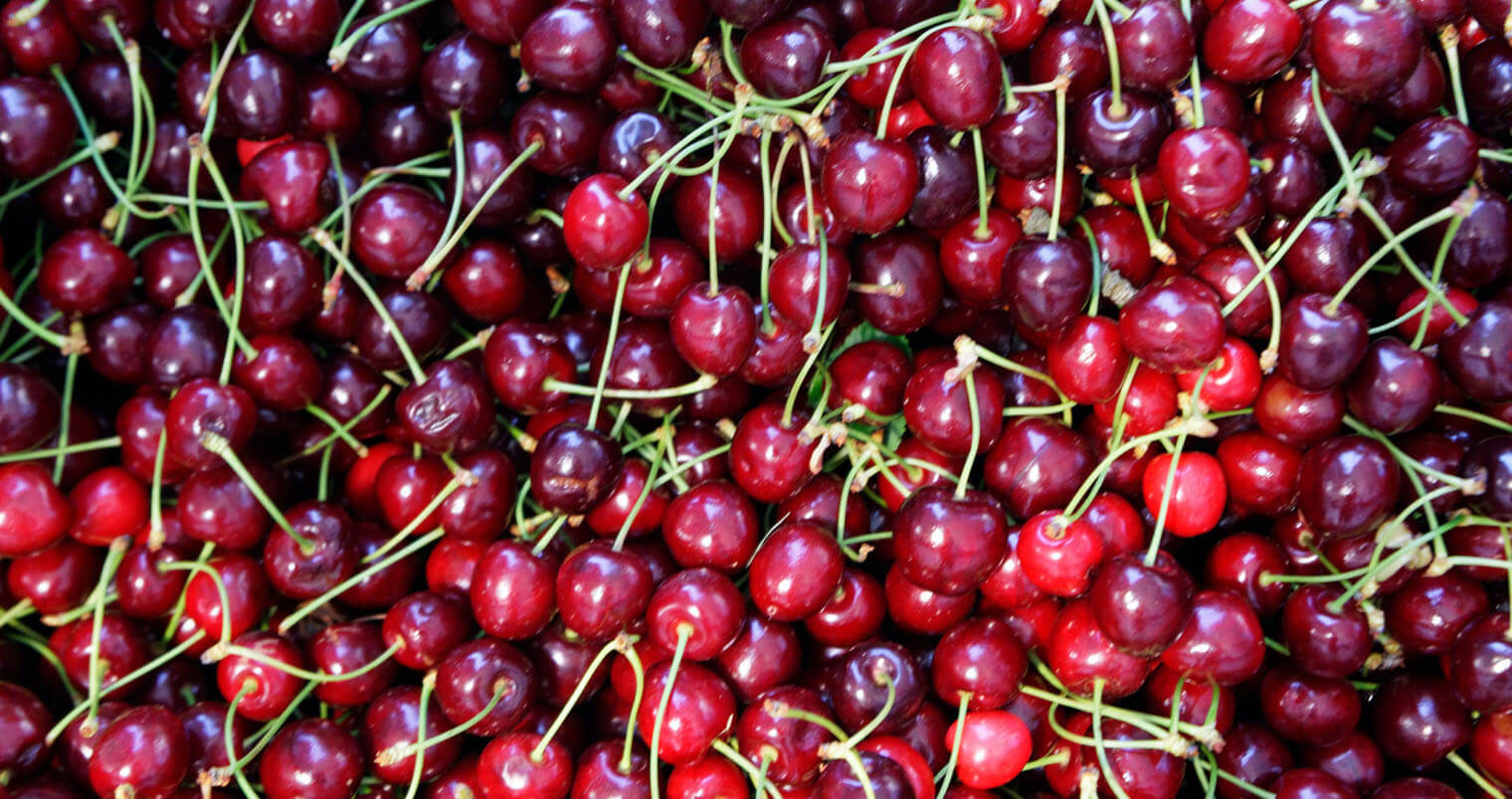 Cherries , background, featured image