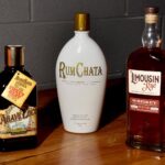 Chilled 100 Ambassadors Mix it Up in Chicago