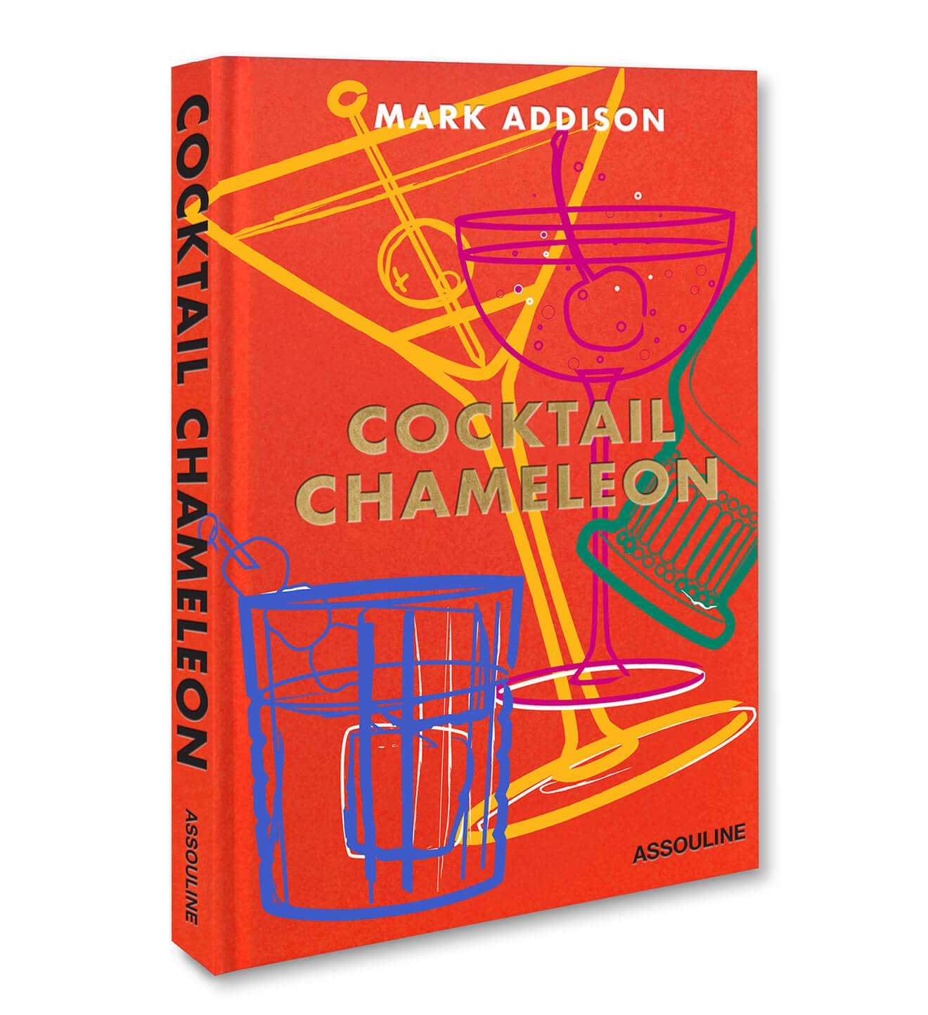 Cocktail Chameleon Book Cover on white