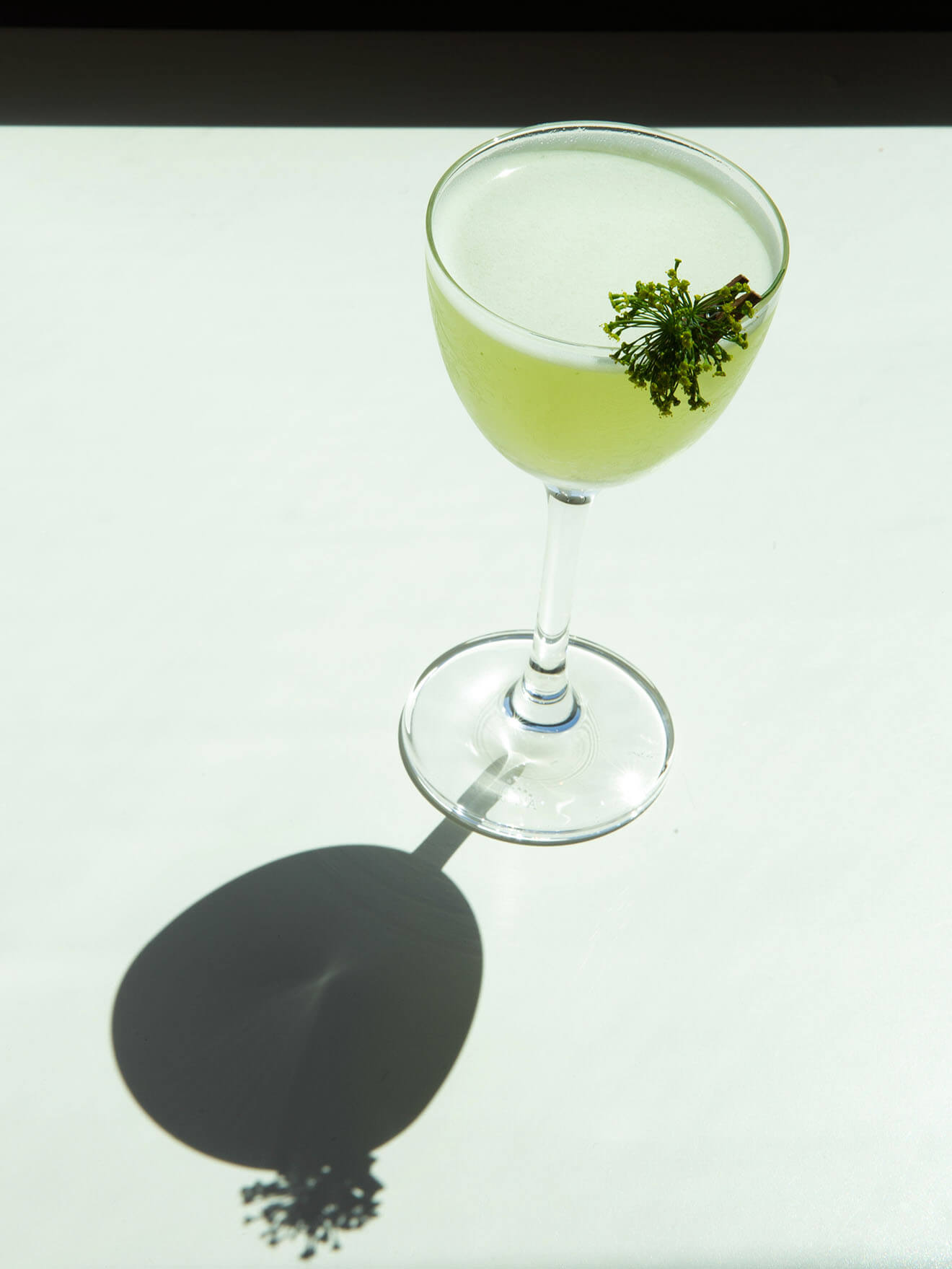 Dill Seeker cocktail