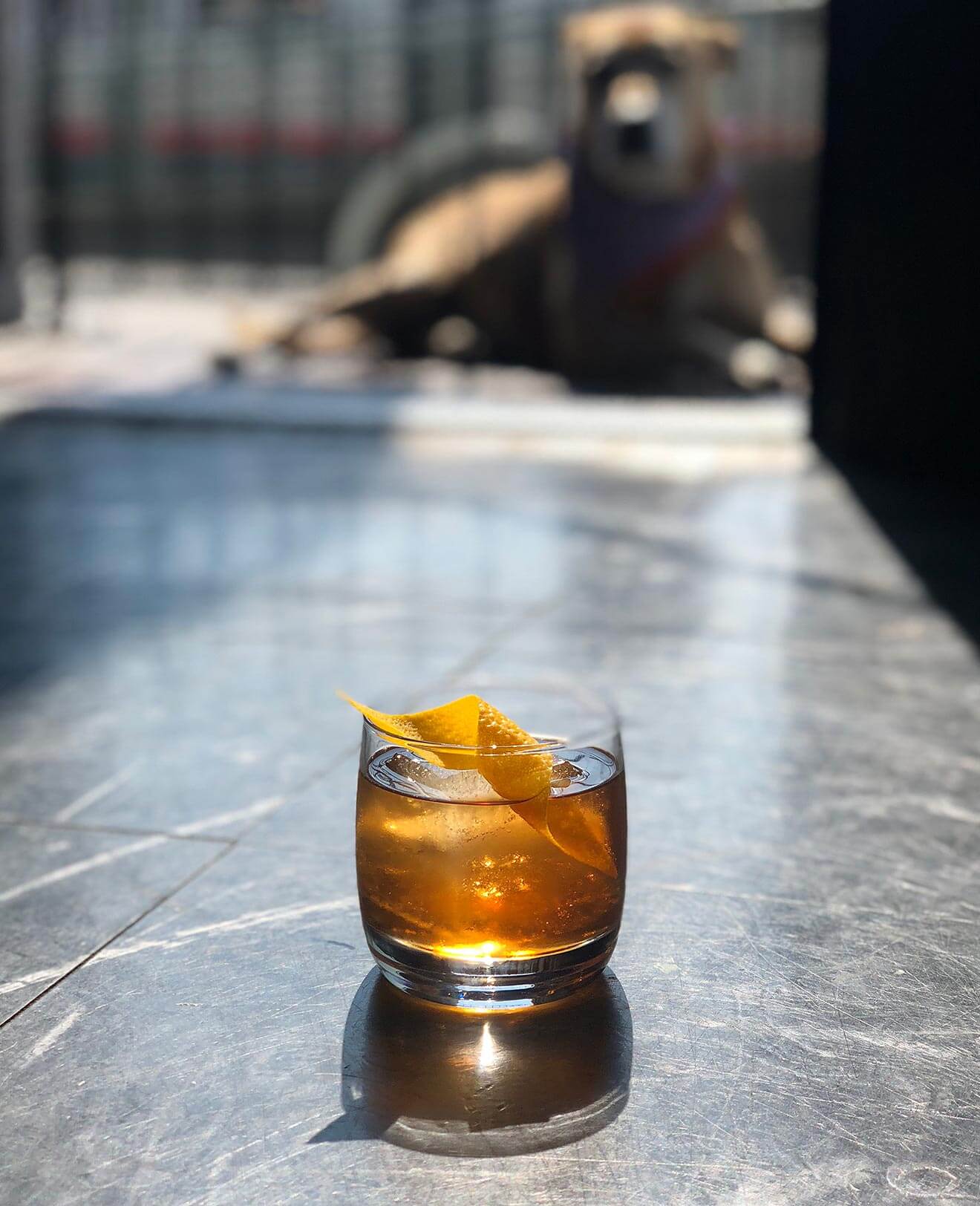 Dog Day Afternoon cocktail on sunny deck, dog in background