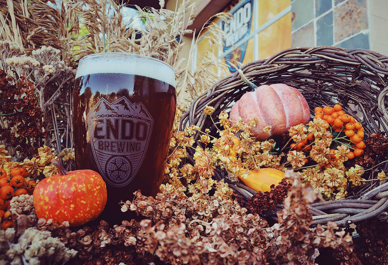 Endo Brewing No Pumpkin, Punkin Autumn Spice Ale
