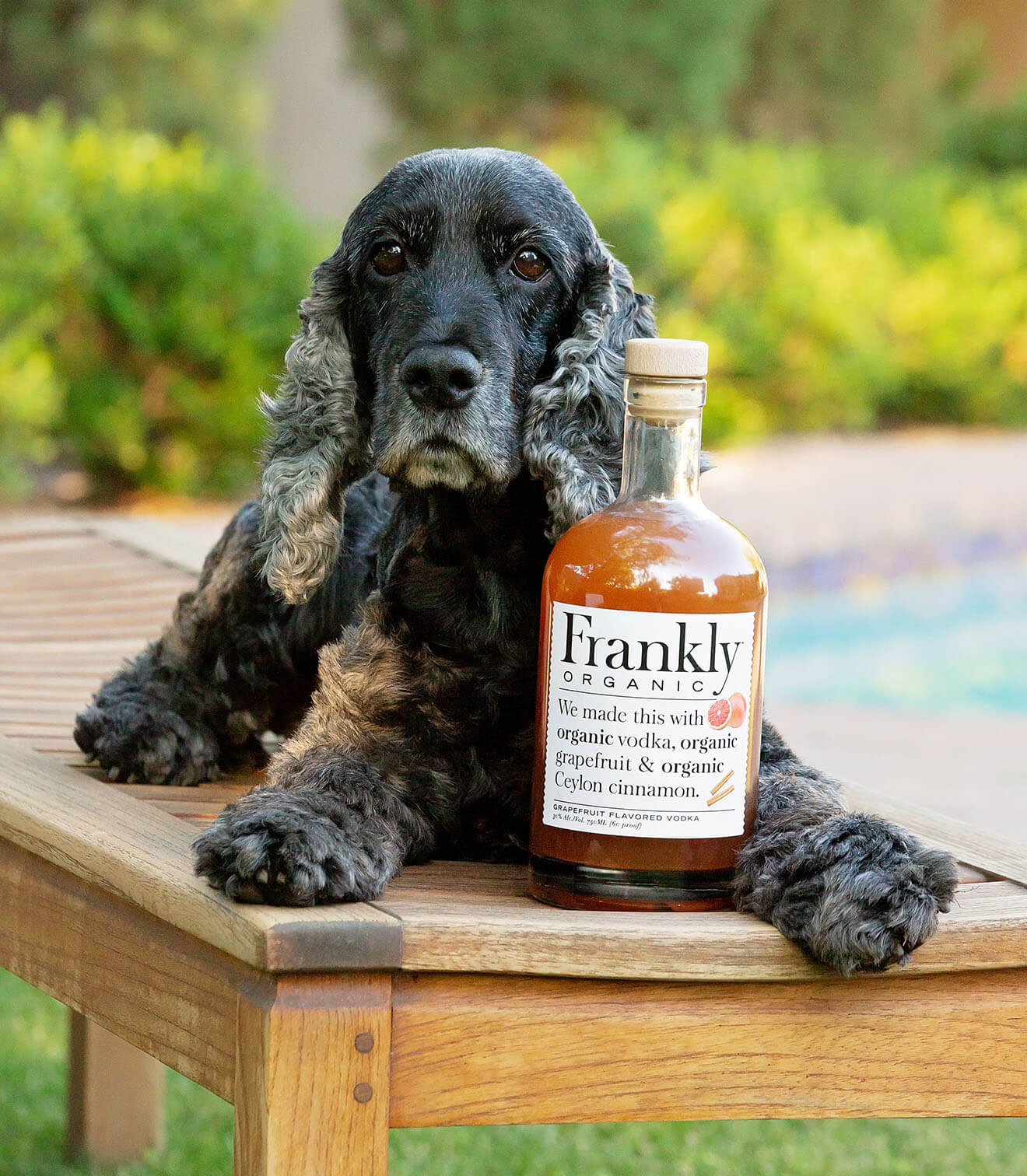 Frankly donates a portion of profits to support animal welfare