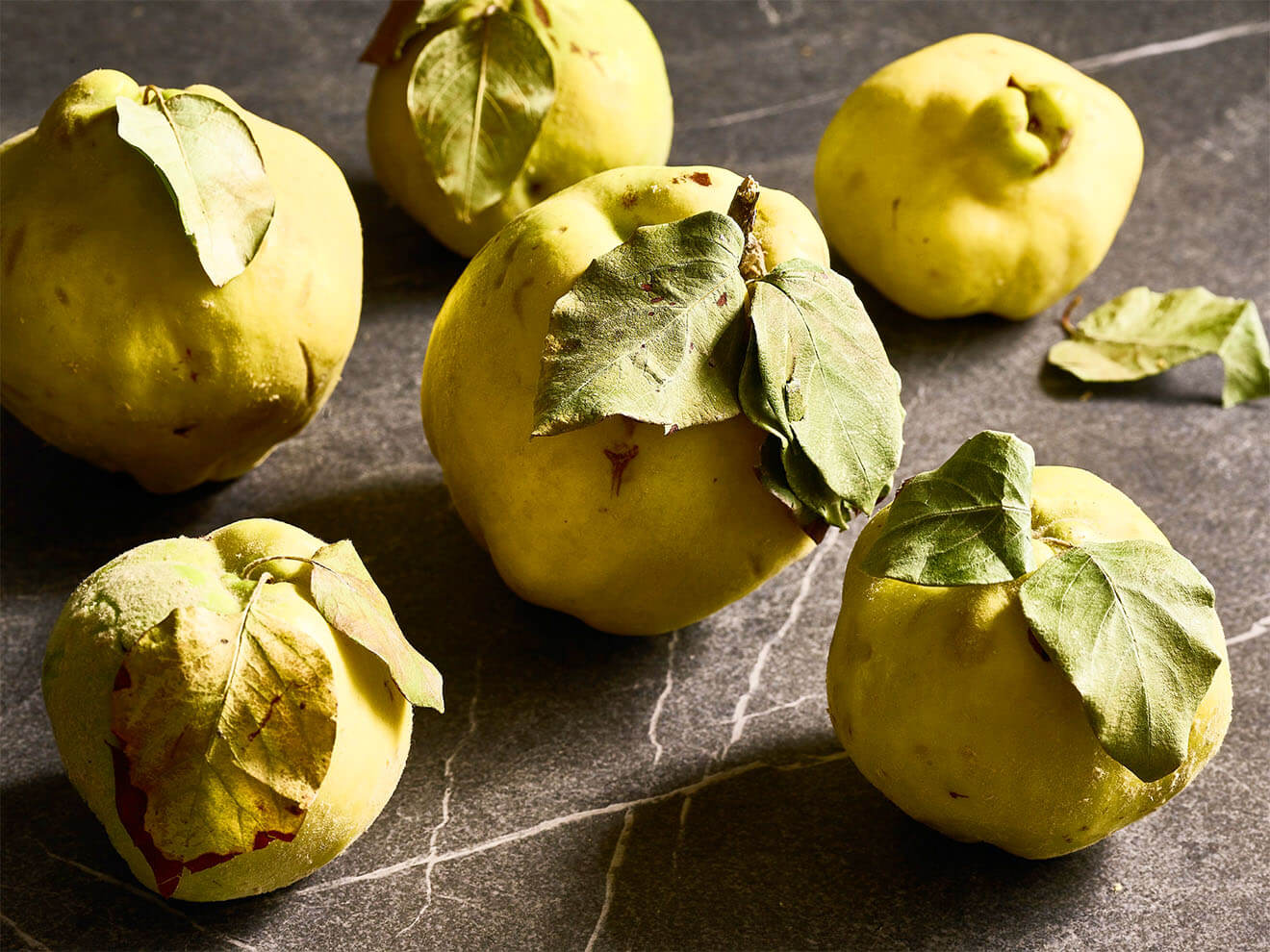 Fresh Quince by Judy Doherty