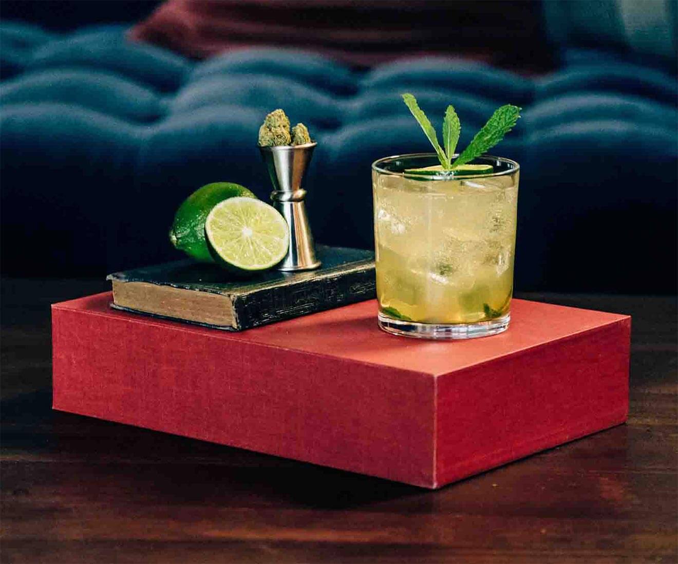 fresh start cocktail with garnishes