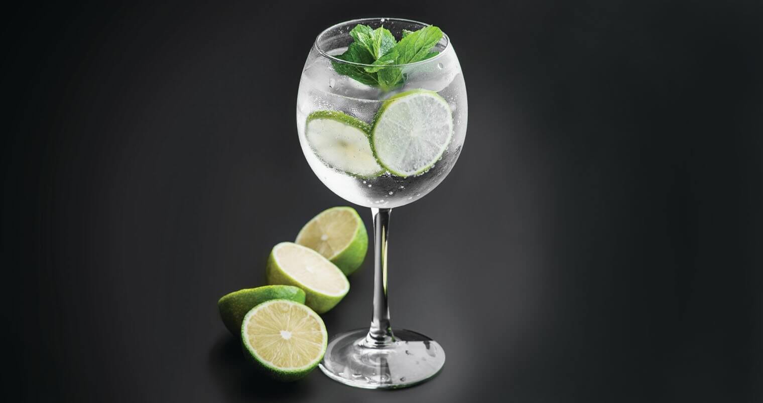 Gin and Tonic, featured image