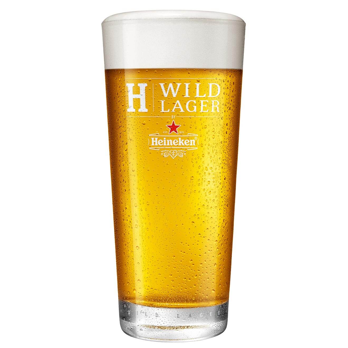 H41 Wild Lager Draught on white