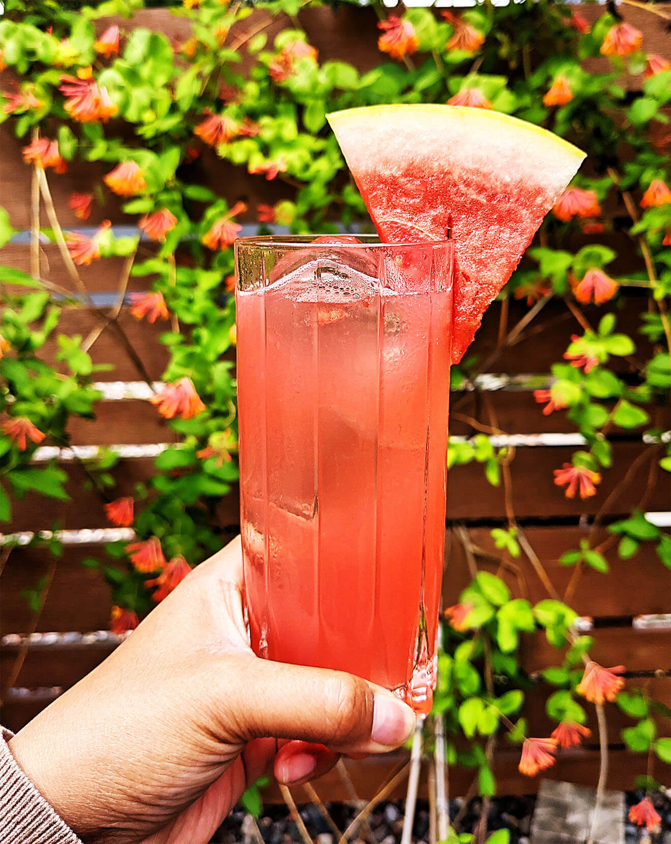 Hot Girl Summercocktail, watermelon garnish