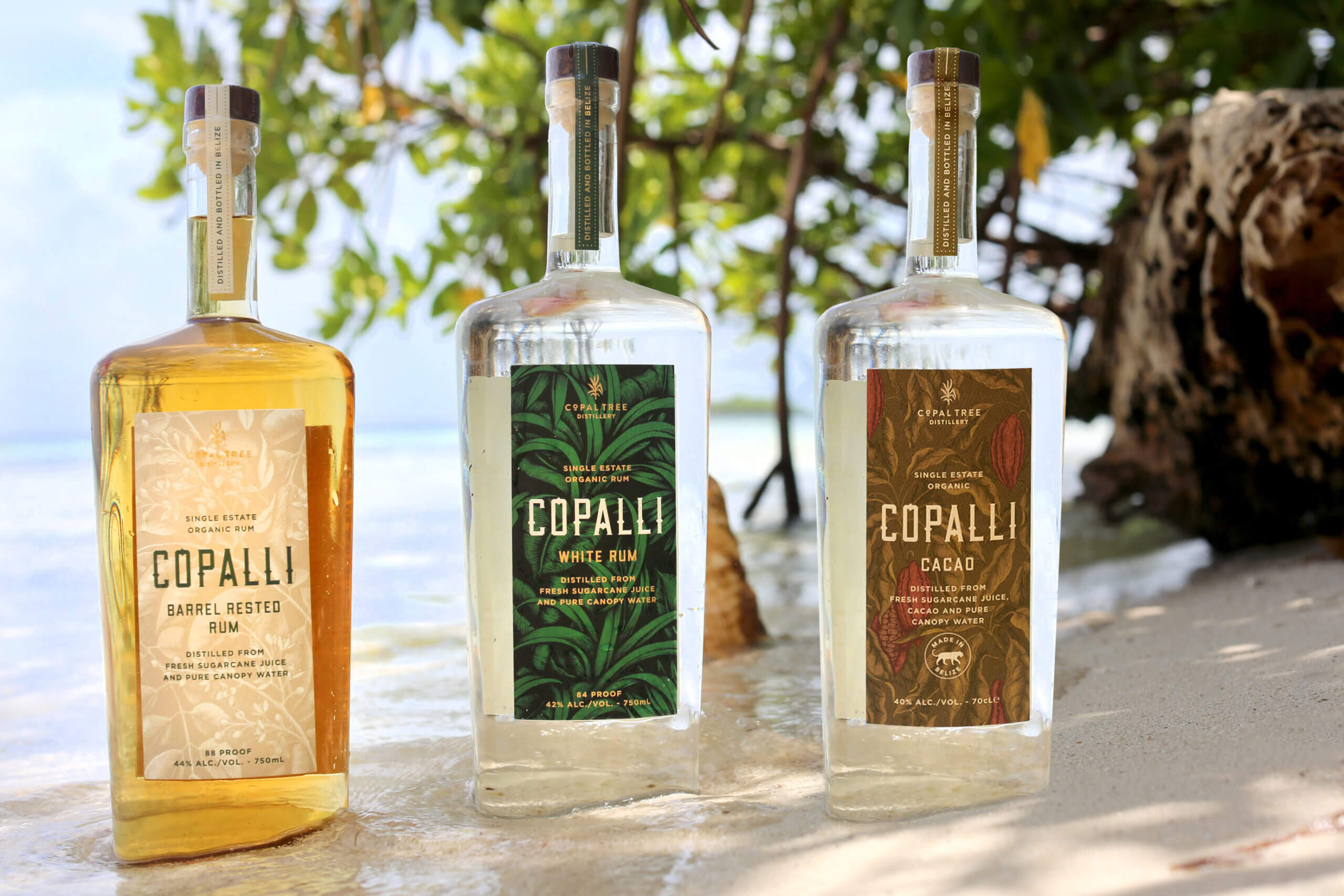 Copalli Rum Beach Lineup