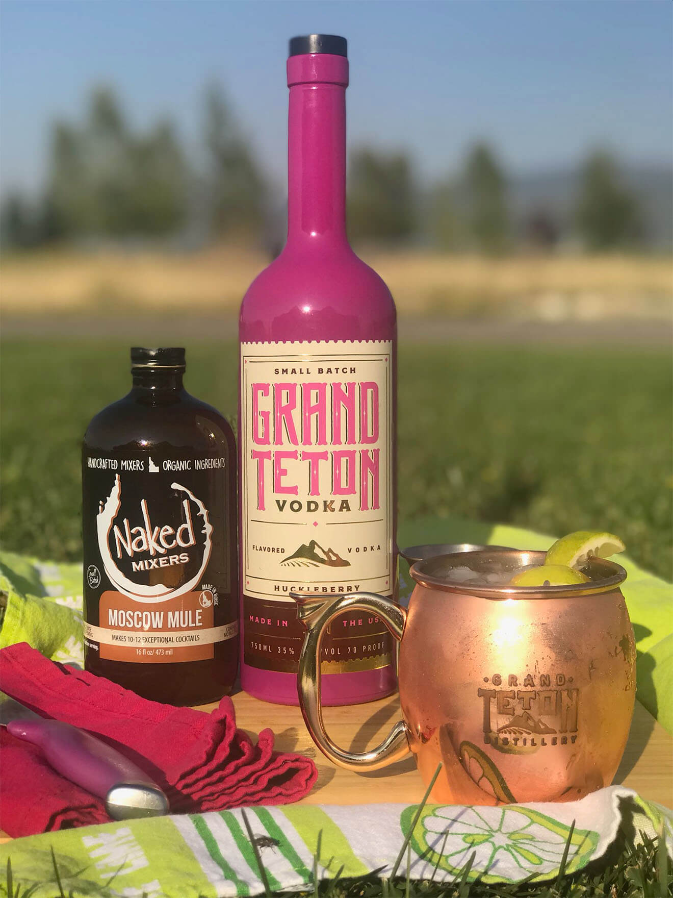 I'll Be Your Huckleberry cocktail, bottles, picnic blanket