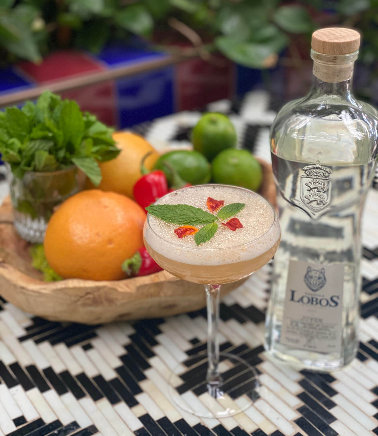 Jesse Filkins - Lobos 1707 El Guapo