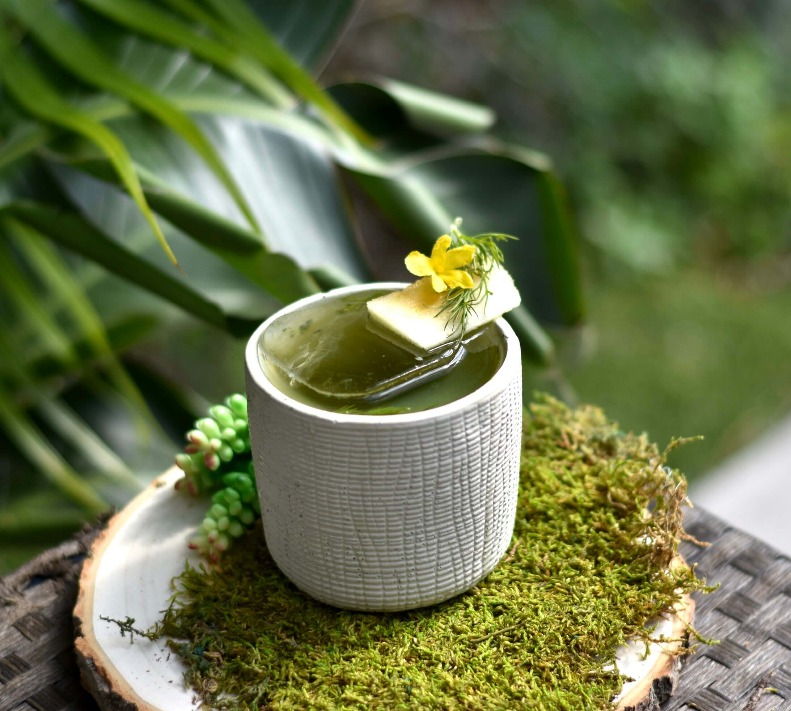 Serra Do Mar Cocktail