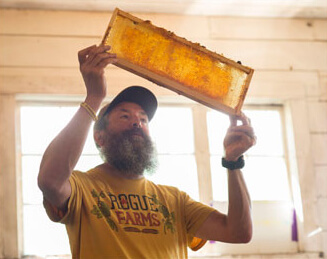 john maier inspecting a honey comb