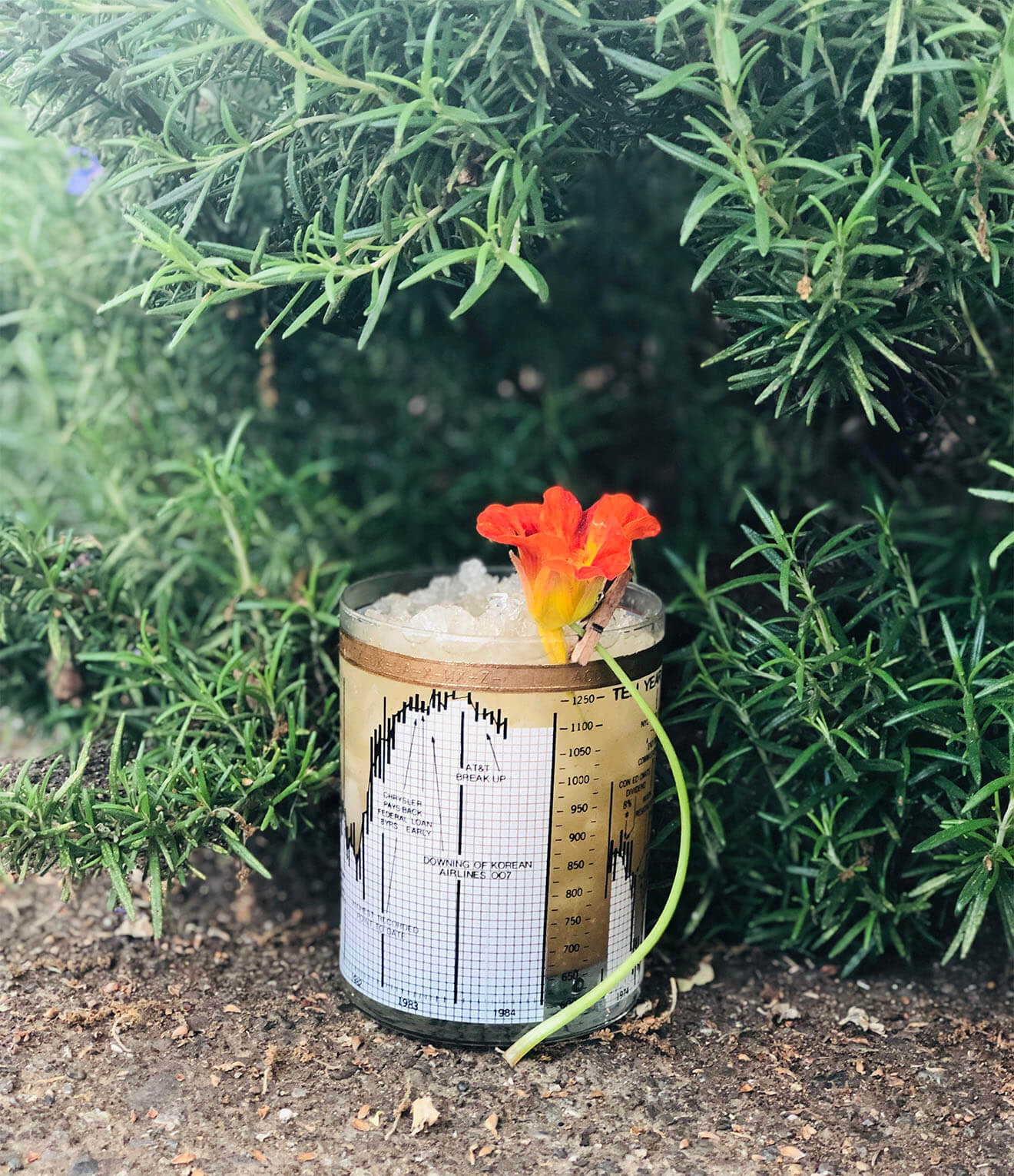 Keep Thy Youngly, rosemary cocktail