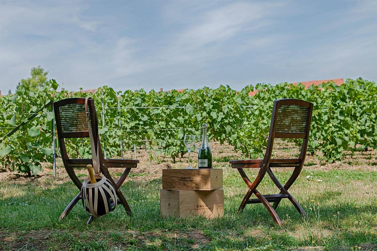 Krug Vinyard