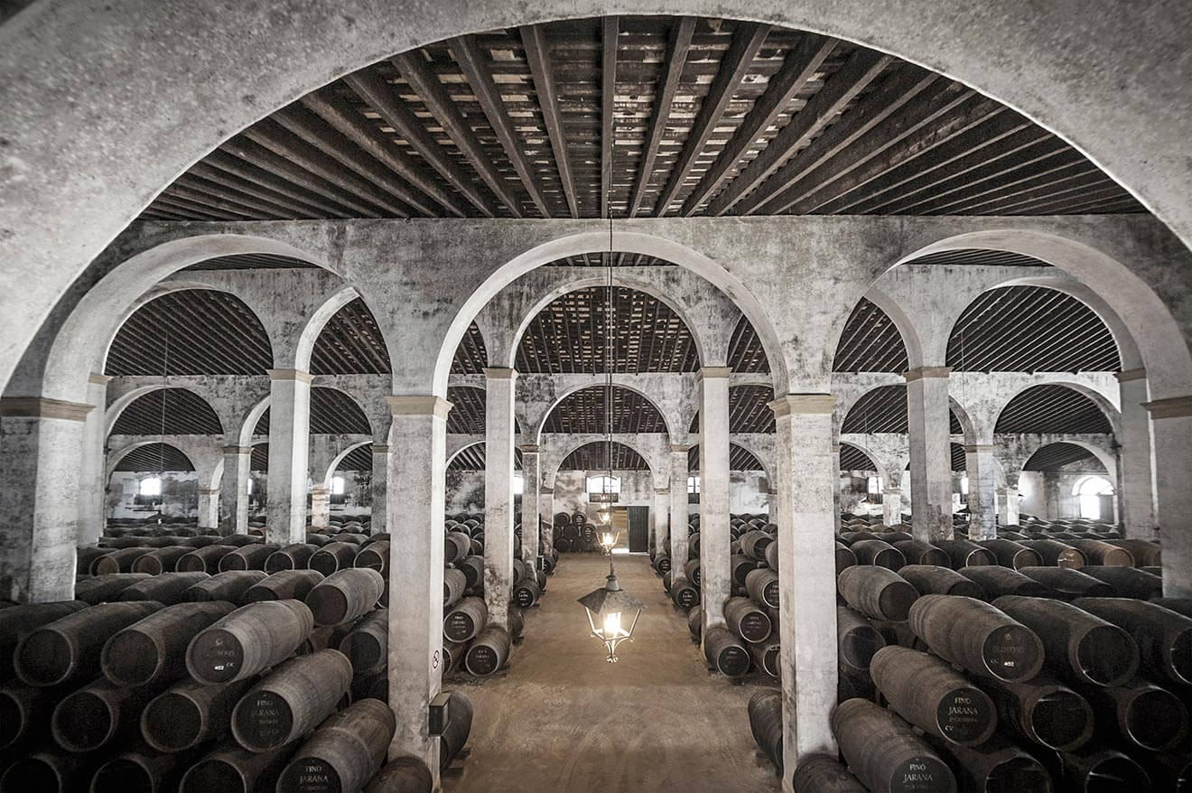 The House of Lustau, cellar