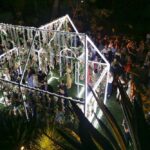 The Celebration of Maison St-Germain Hosted by Lily Kwong overhead view