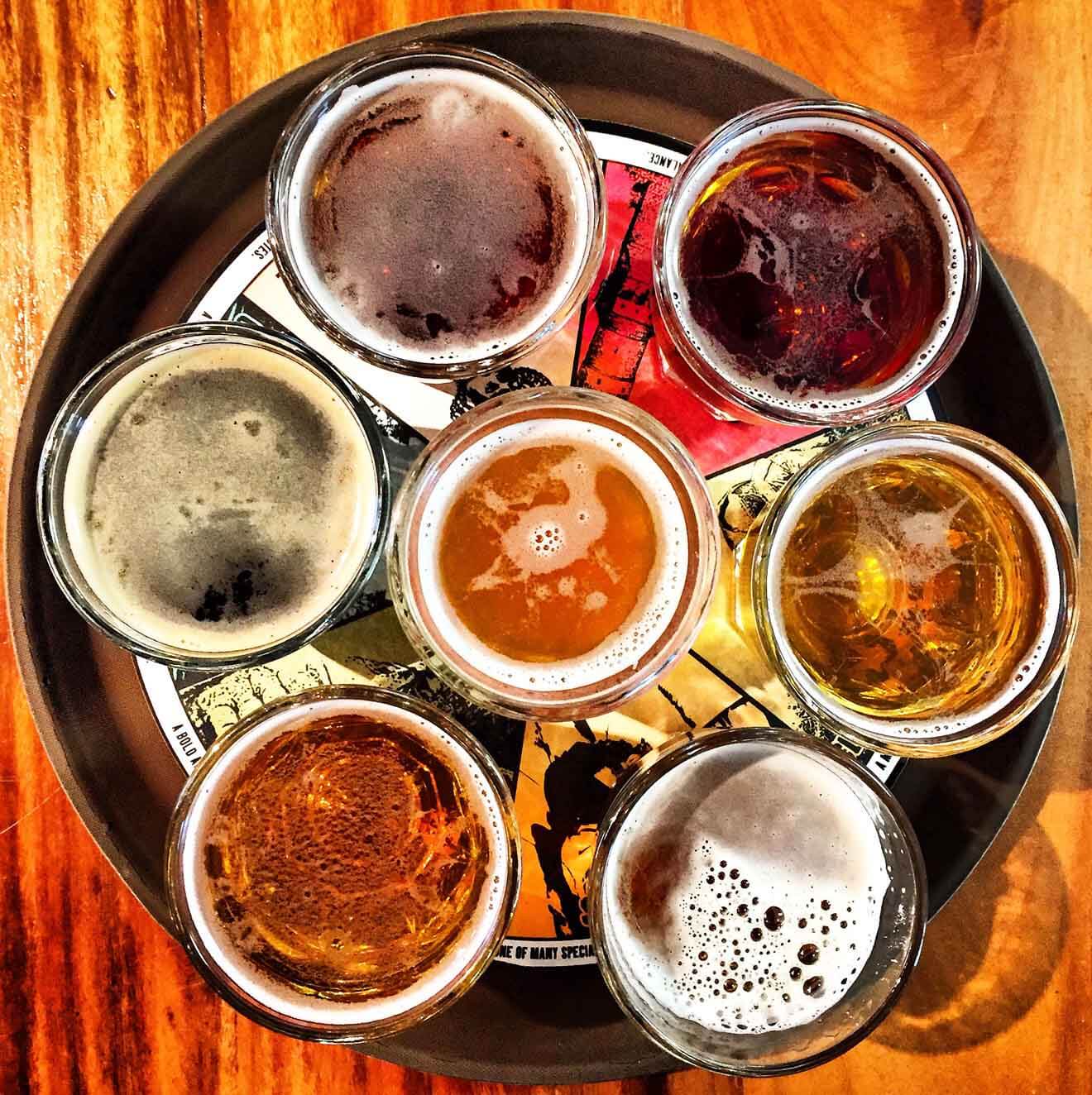 Mountain Toad Brewery Golden Colorado