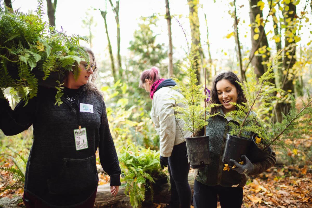 Noble Oak Forest, workers