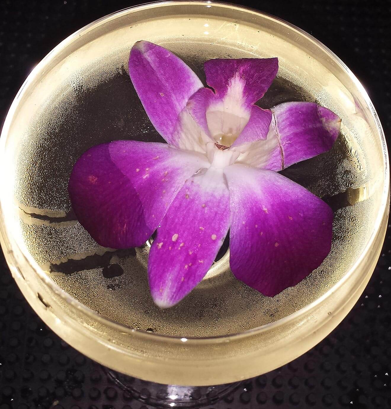 Northern Exposure cocktail