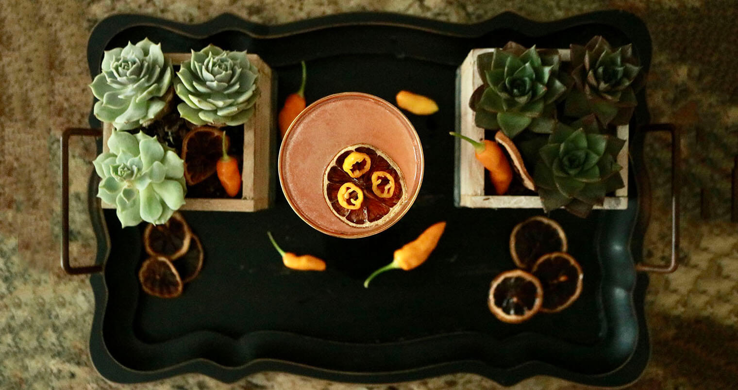 Tequila Cocktails for Mexican Independence Day , featured image